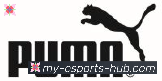 DOTA竞猜合作伙伴